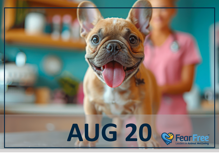Canine Cough Conundrum: Getting a Handle on CIRDC