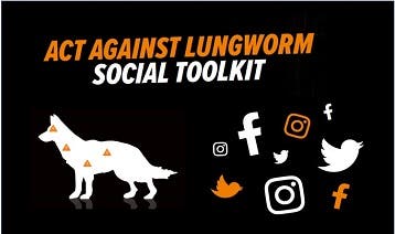 Act Against Lungworm Social Toolkit Thumbnail