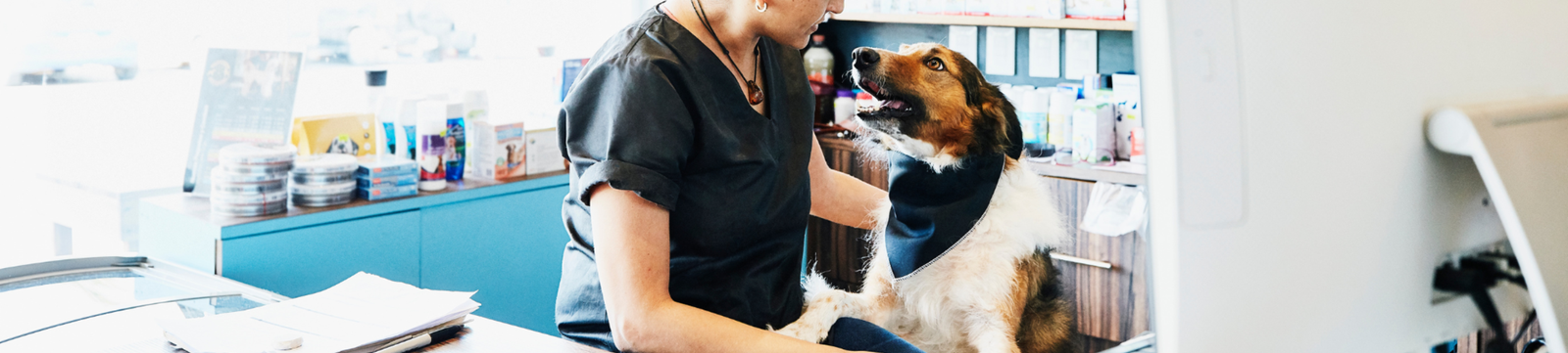 A woman sitting on a chair with a dog