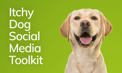 Itchy dog social media toolkit banner with a yellow labrador