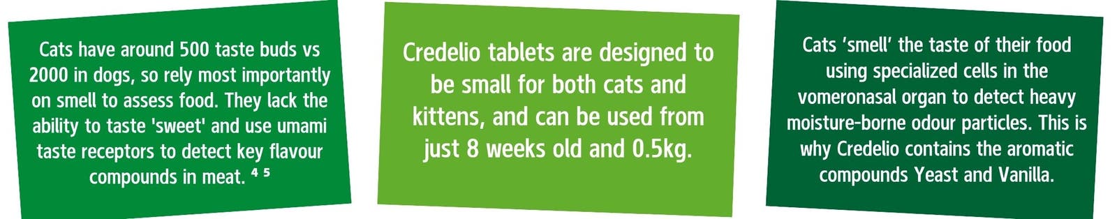 Credelio Cat Key Information Graph