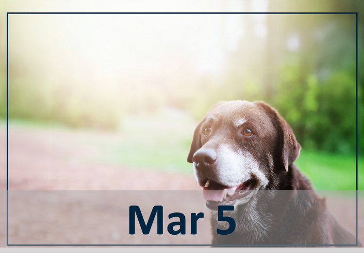 March 5 webinar photo