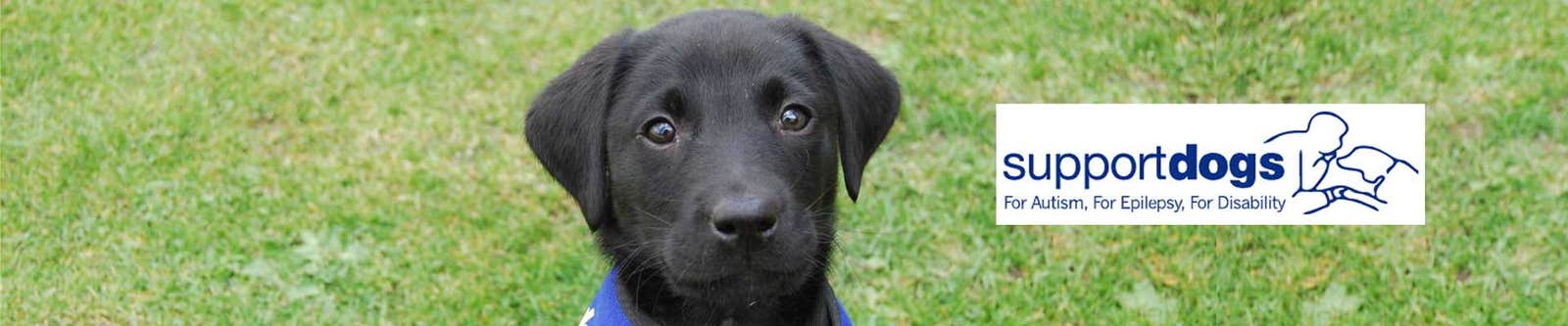 Elanco supports Support Dogs