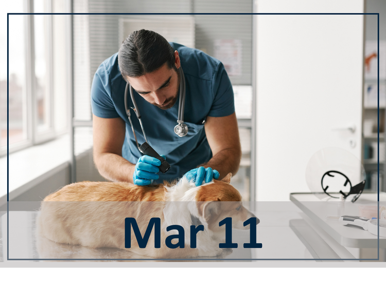 Cutting Risk Short Speed of Tick Kill as a Tool for Canine Tick-Borne Disease Control March 11 Webinar Image