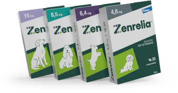 Zenrelia Embalagens