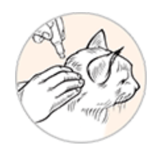 How to apply advantage step 4: apply contents of tube on the skin