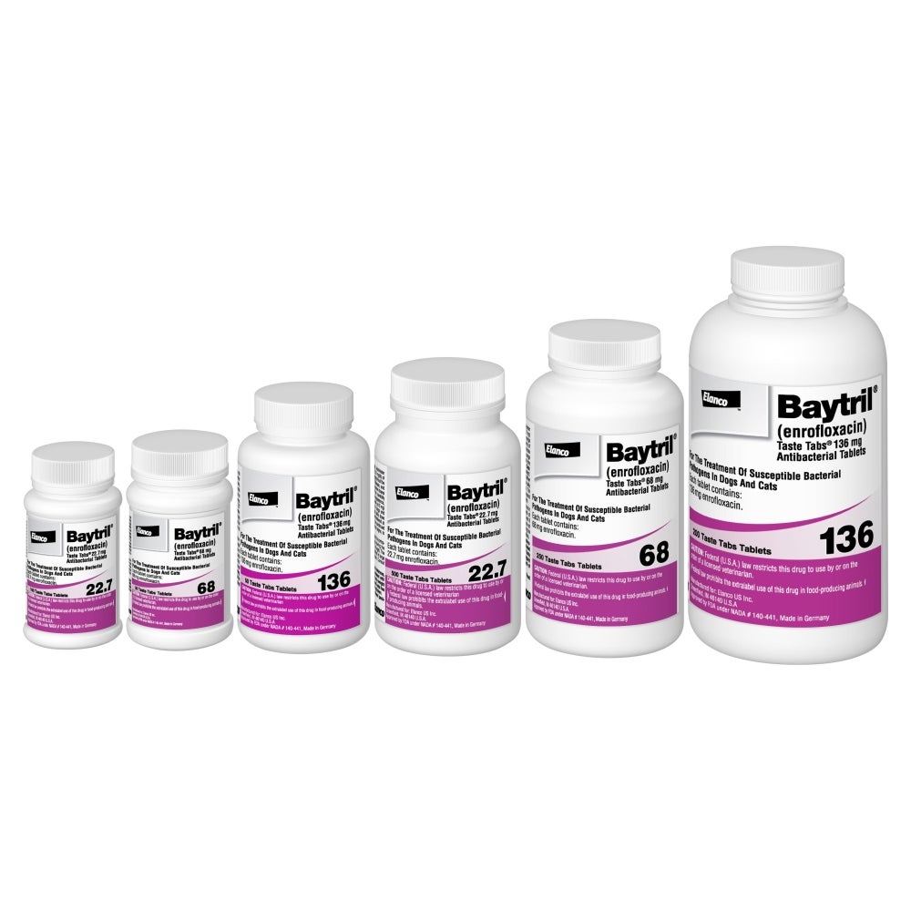 Four bottles of Baytril® antibacterial tablets with 22.7 mg and 68 mg pills.