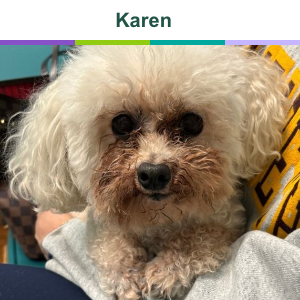 Karen before treatment with Zenrelia for itch