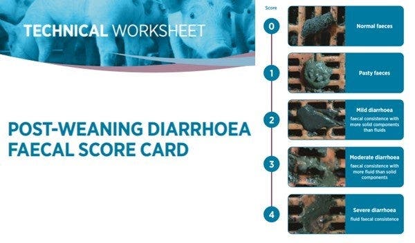 Post Weaning Diarrhoea Faecal Score Card