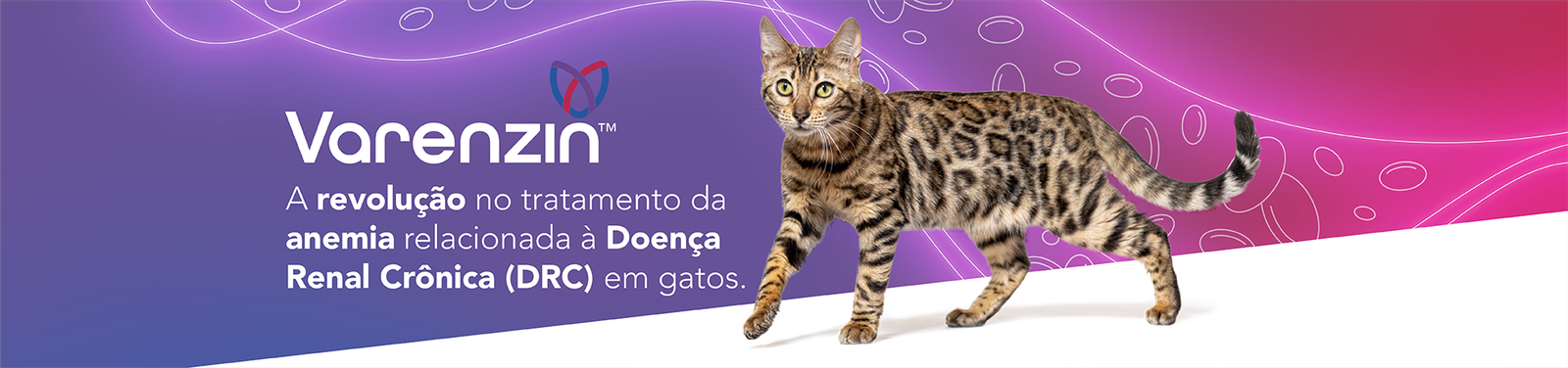 Banner Varenzin veterinários