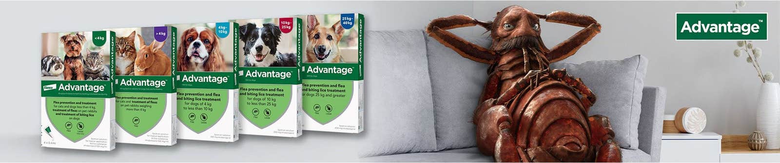 Advantage flea treatment