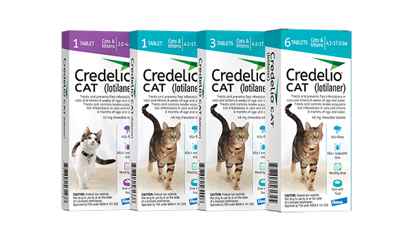 Four boxes of Credelio CAT (lotilaner) featuring different cat breeds. The packaging includes 1, 3, and 6-tablet options for various feline weight classes.