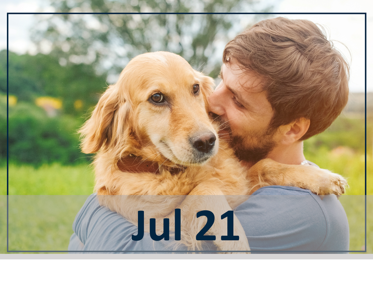 Hot Topics in Canine Infectious Diseases Header Image Webinar