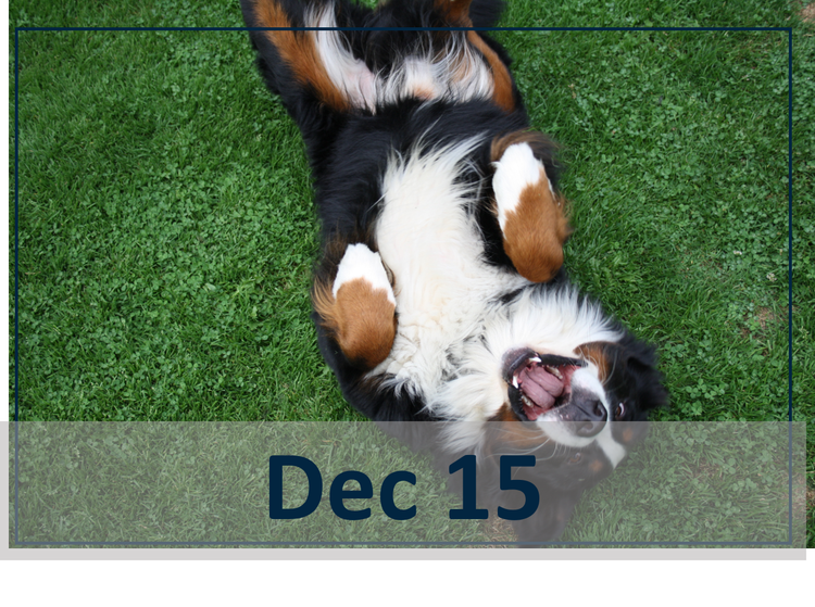 JAK of All Trades: Mastering Your Dermatology Consult Dec 15 webinar header image