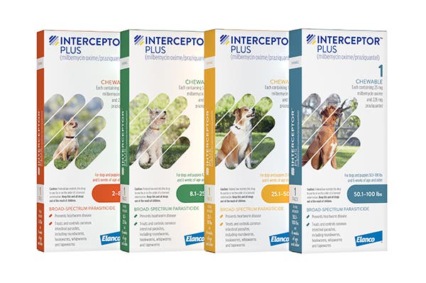 A row of four tall Interceptor Plus boxes for dogs, containing milbemycin oxime and praziquantel. The boxes are color-coded by weight category: orange (2-8 lbs), green (8.1-25 lbs), yellow (25.1-50 lbs), and blue (50.1-100 lbs), each featuring the Elanco logo and a unique dog breed photograph.