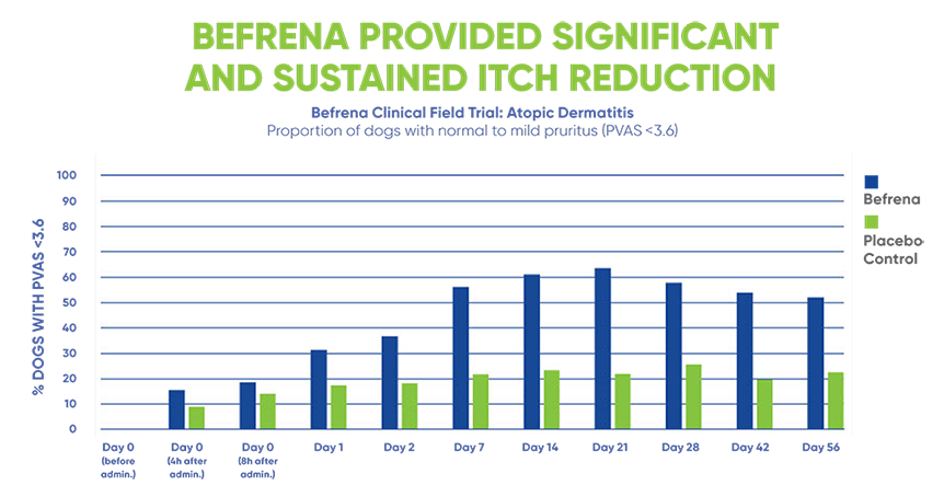 Bar chart showing a higher percentage of dogs achieving normal to mild pruritus with Befrena compared to placebo.