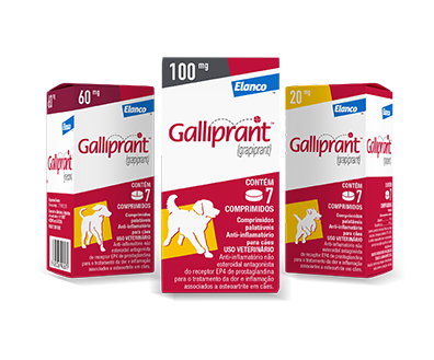 Embalagens Galliprant Elanco
