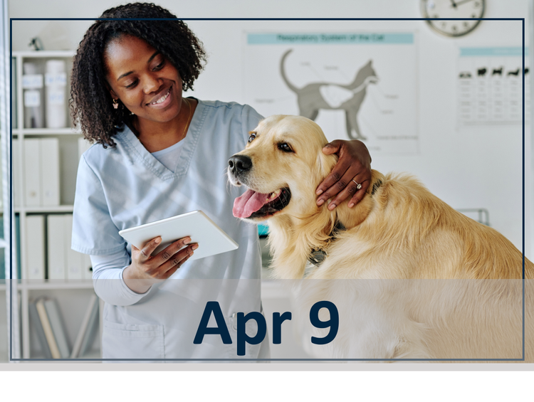 Advances in Feline Perioperative Pain Management header image