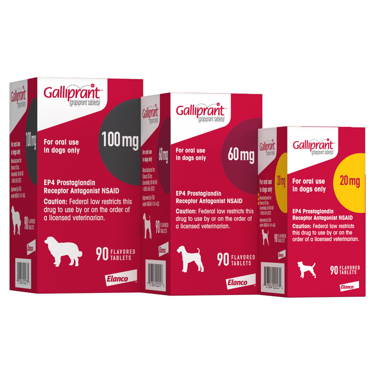 Galliprant packshot