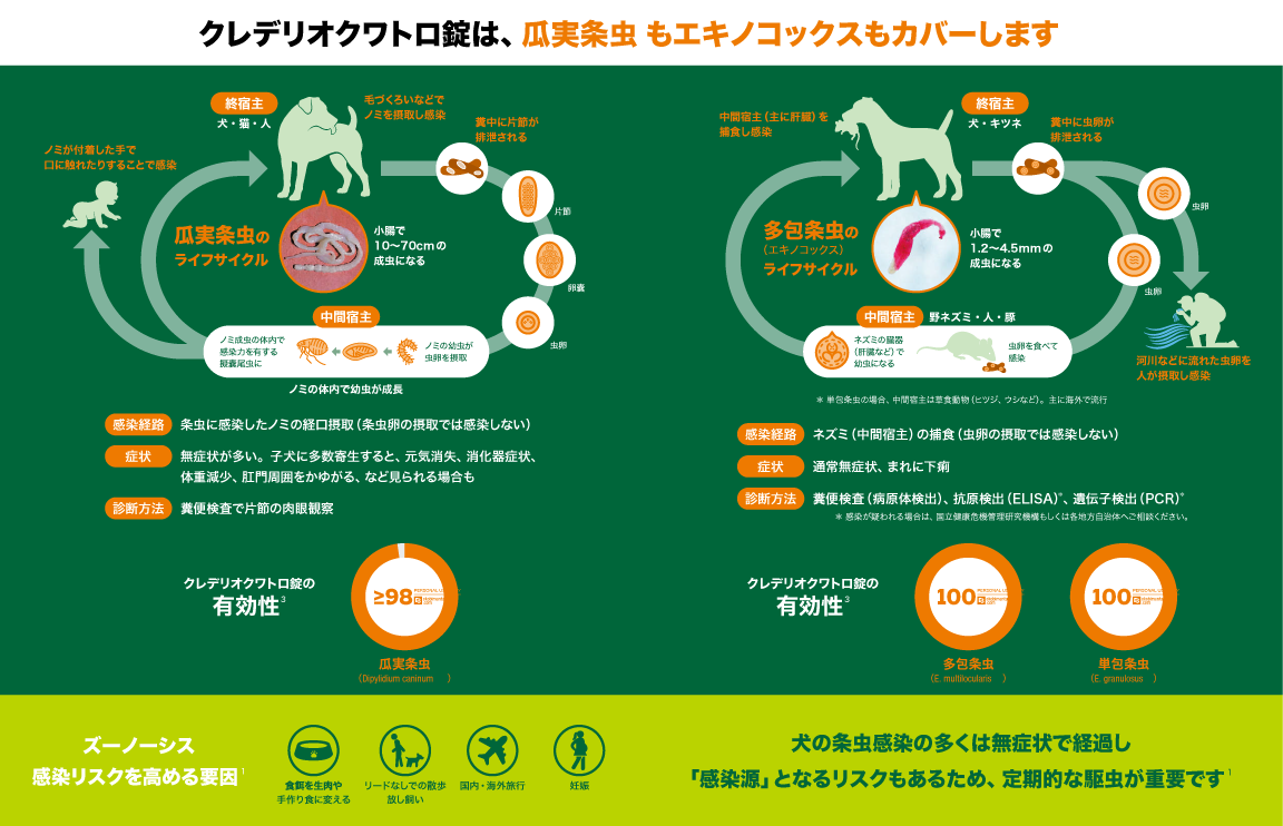 クレデリオクワトロ錠は、瓜実条虫もエキノコックスもカバーします