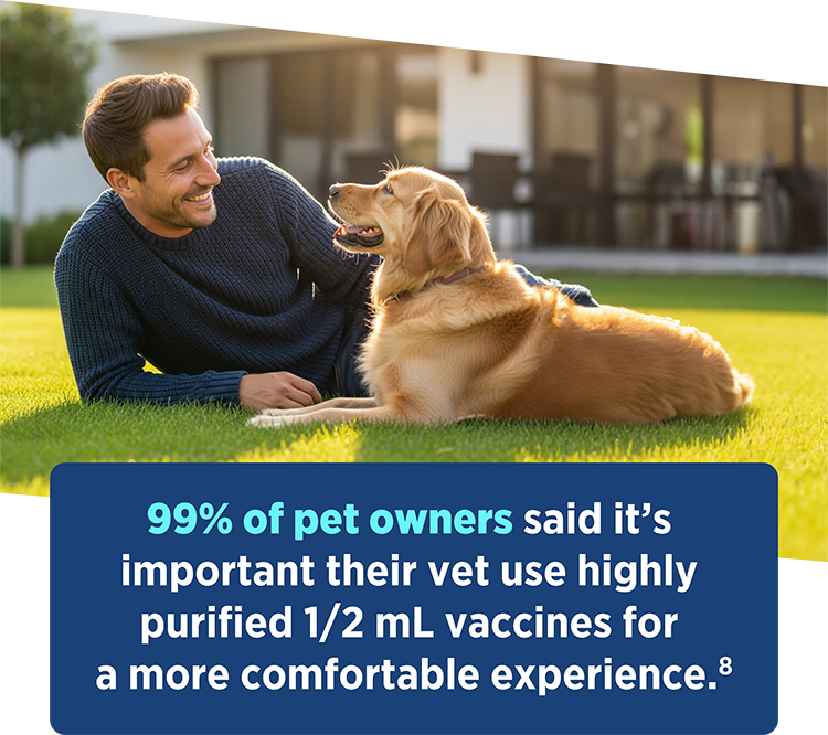 A man and a golden retriever lying on a lawn with text stating that 99% of pet owners prefer highly purified 1/2 mL vaccines for a more comfortable experience.