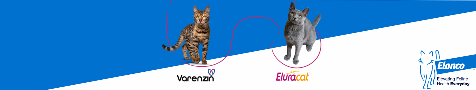 Varenzin and Eluracat banner