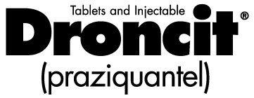 Droncit Logo