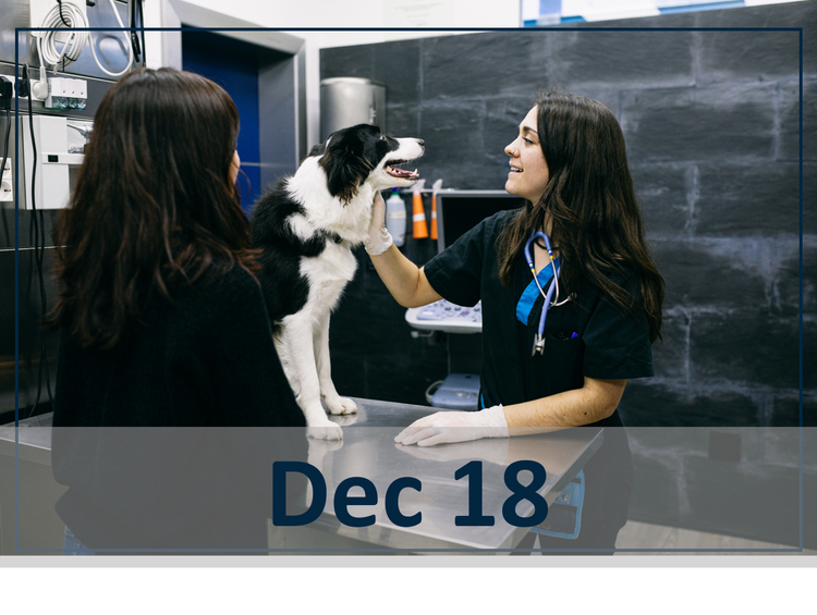 Dec 18 galliprant webinar
