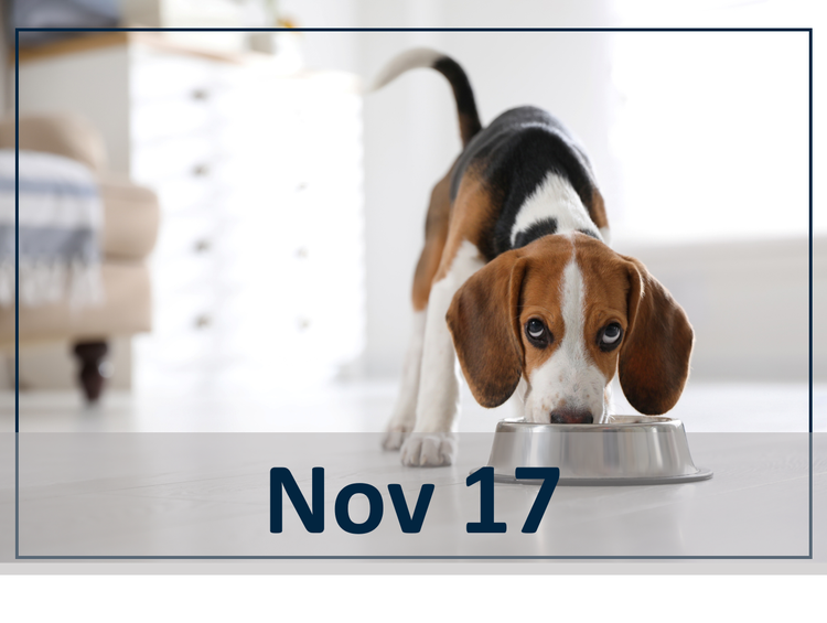 Rising to Meet the New Parasite Challenges header image Nov 17 webinar