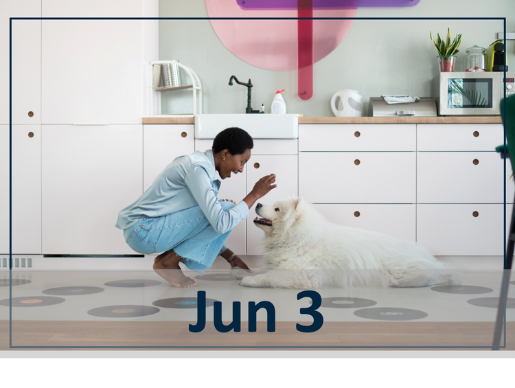 June 3 webinar image