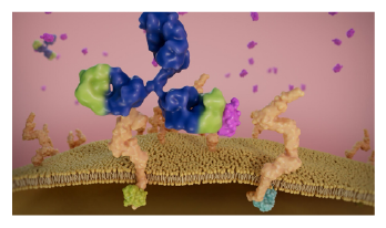 Scientific 3D rendering of the molecular structure of Befrena (tirnovetmab).
