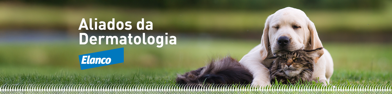 Banner Aliados da Dermatologia