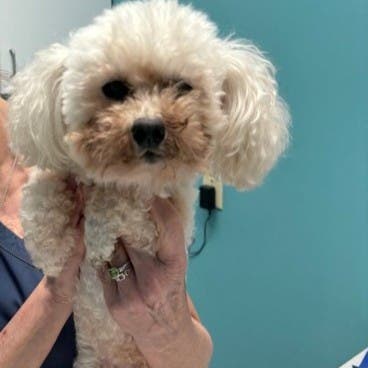 Karen after treatment with Zenrelia