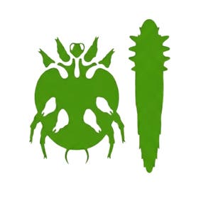 Sarcoptes and Demodex Icons for Credelio Plus