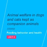 Animal Welfare in dogs and cats kept as companion animals II