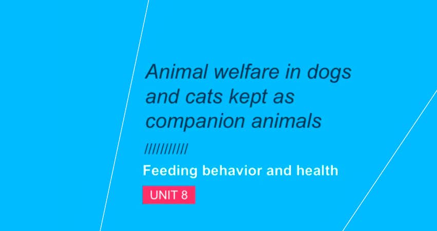 Animal Welfare in dogs and cats kept as companion animals I
