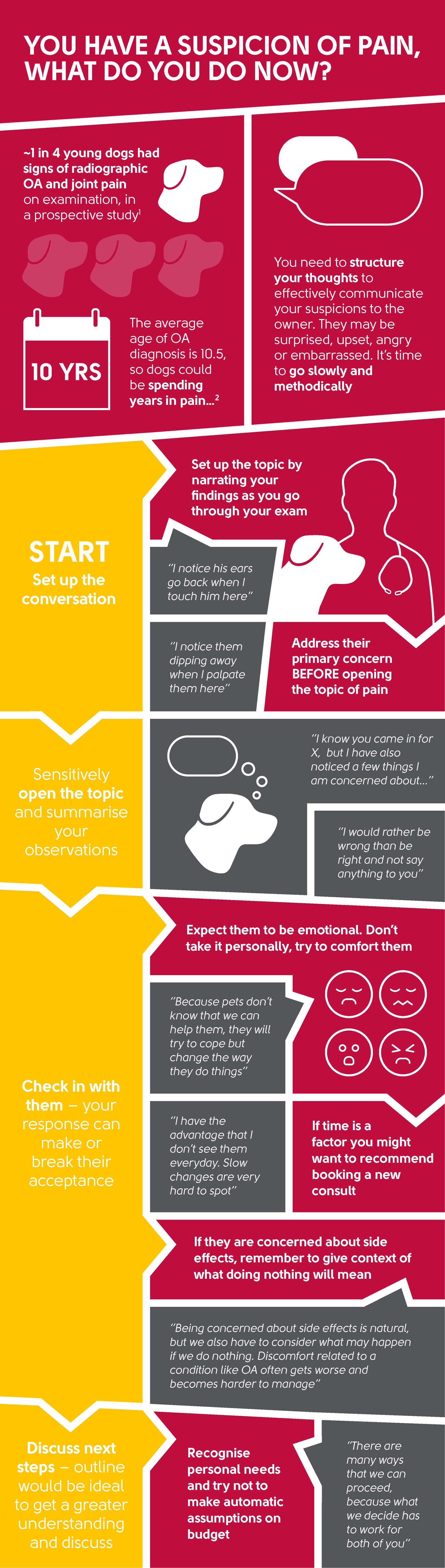 Explain pain explain Galliprant infographic 2