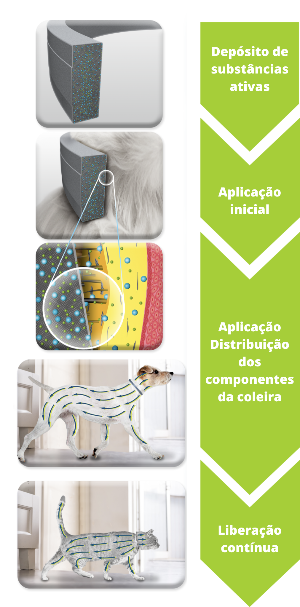 funcionamento da Seresto