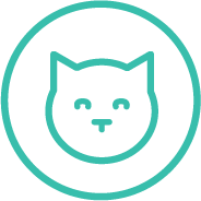 Green illustrated icon of a cat’s face.