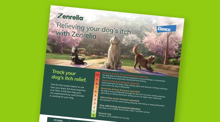 Zenrelia Tear Off Pad for pet owners