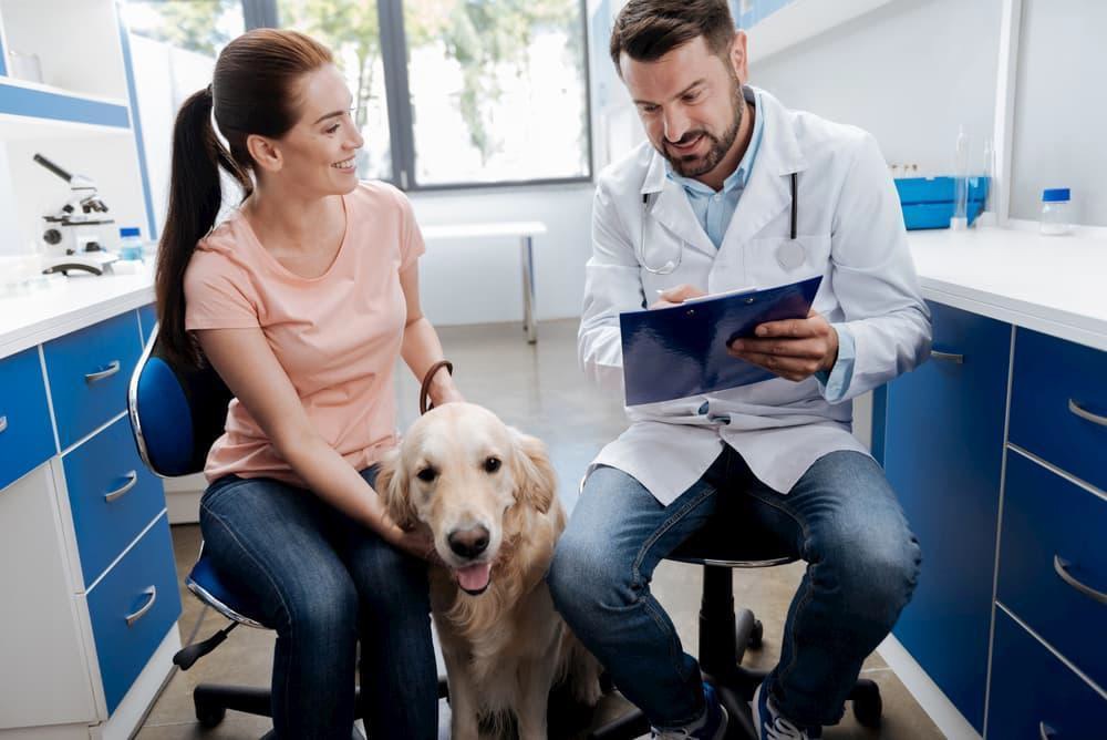 tutor com seu cão no veterinário