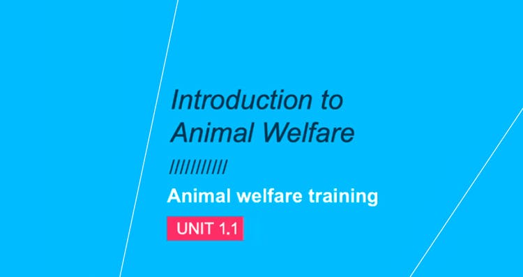 Introdução ao bem-estar animal: Unidade 1.1