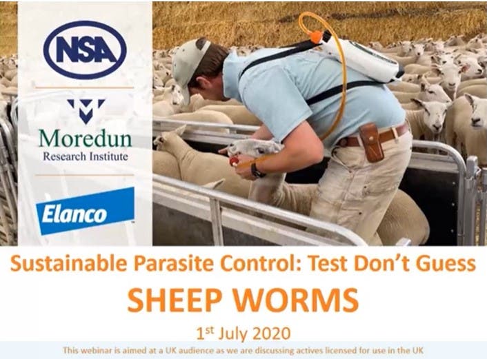 Test don't guess sheep worms webinar