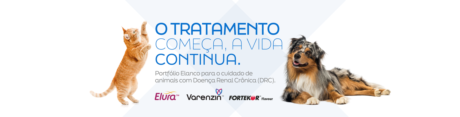 Banner com gato laranja em pé à esquerda e cachorro Pastor Australiano deitado à direita, ao lado do texto “O tratamento começa, a vida continua” e dos logos Elura™, Varenzin™ e FORTEKOR™ Flavour.