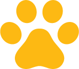 Seguro e eficaz para acompanhar o tratamento de DRC em gatos.
