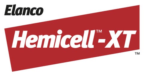 Hemicell XT Logo