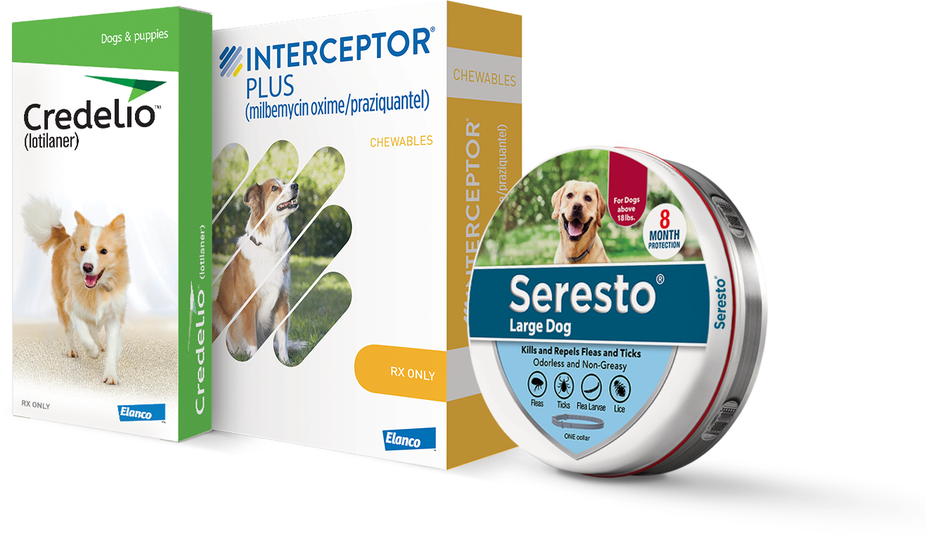 Credelio and sales interceptor plus