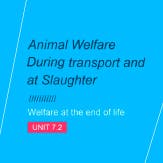 ANIMAL WELFARE DURING TRANSPORT AND AT SLAUGHTER II