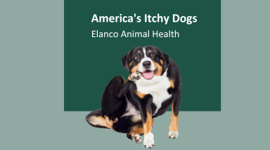 Elanco Itchy Dog Report