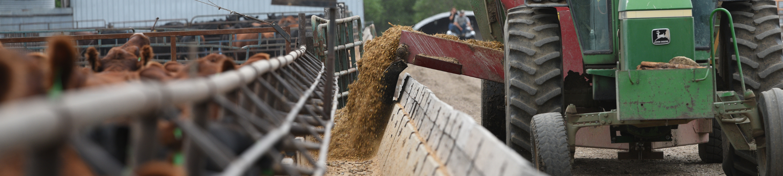 A tractor loading grain into a truck